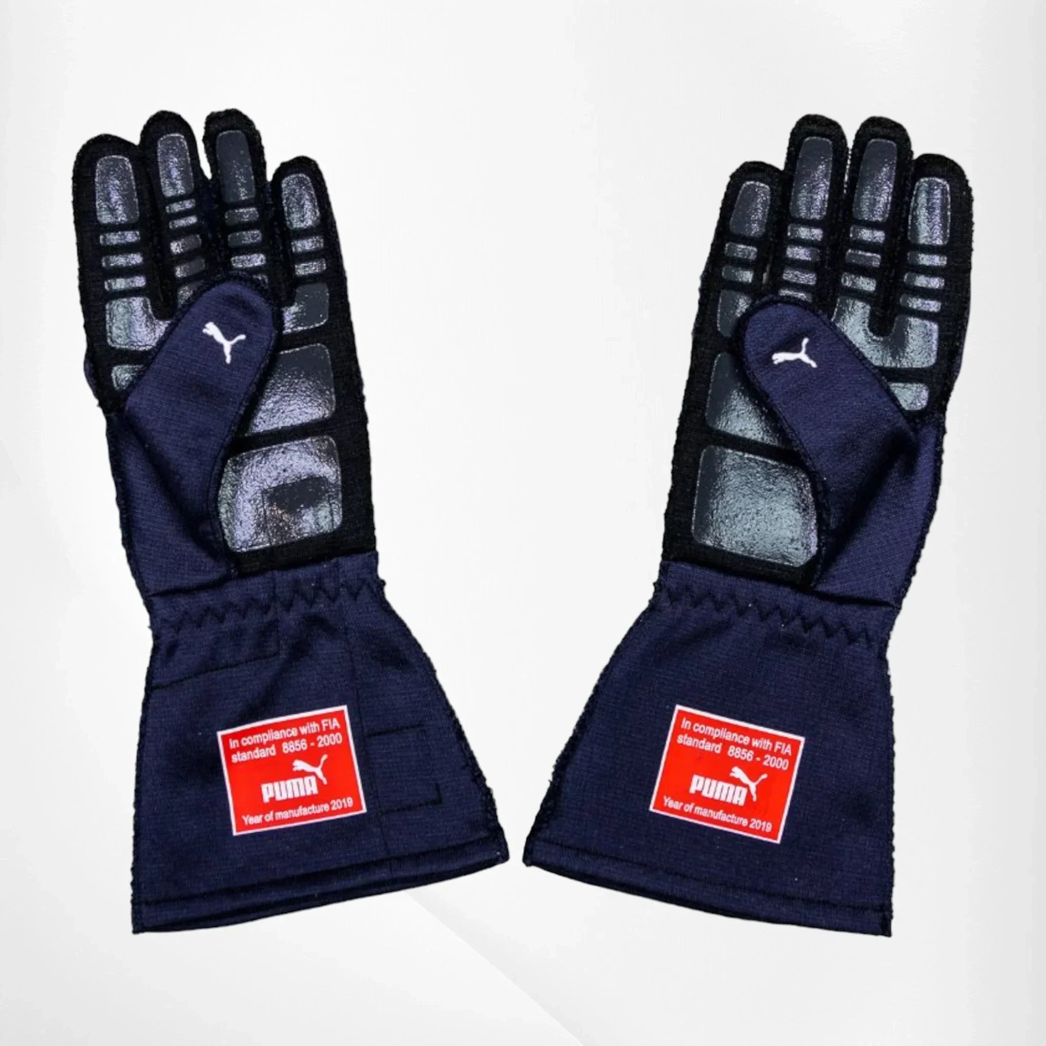 2019 Pierre Gasly F1 Race Gloves