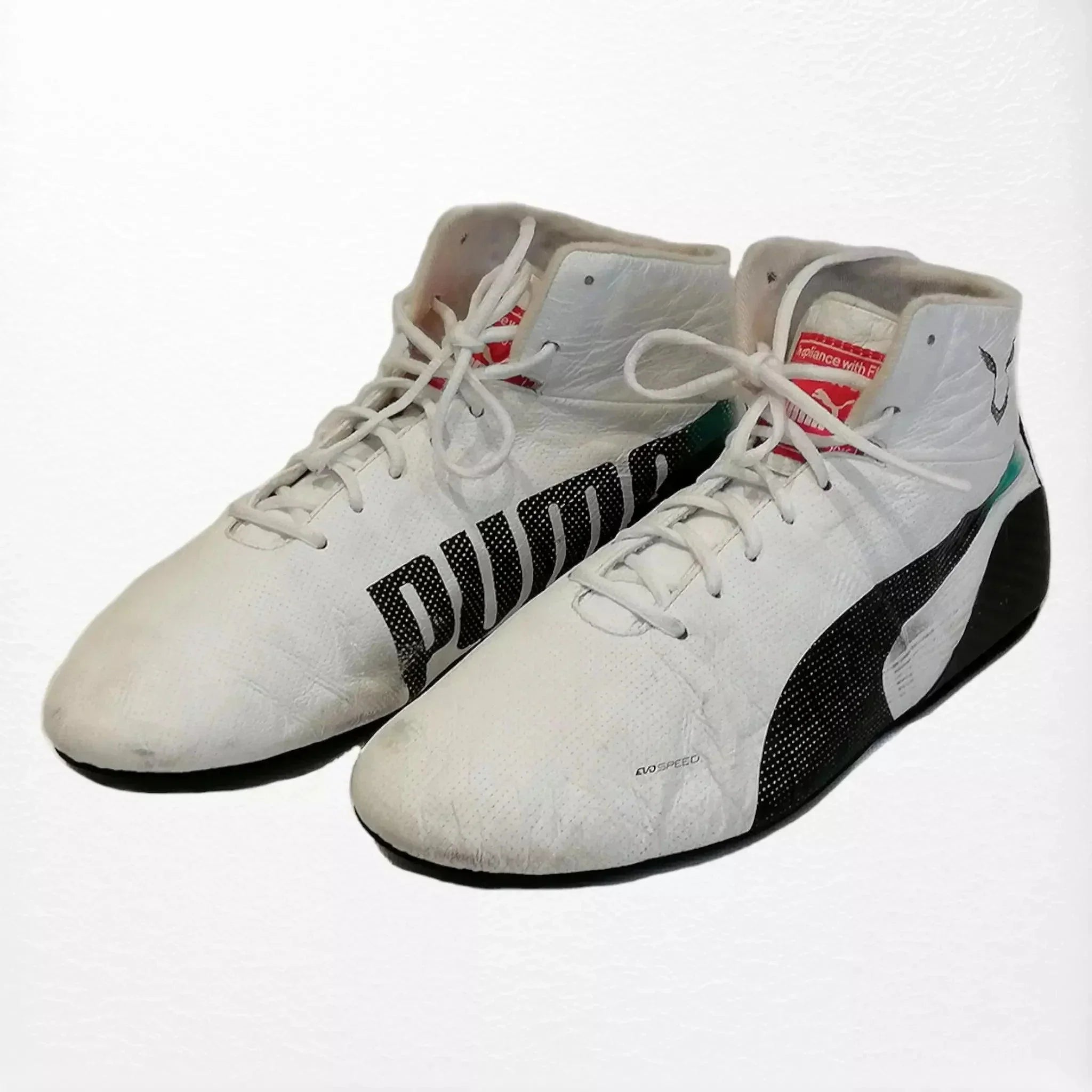 2019 Lewis Hamilton Mercedes benz AMG Puma F1 Boots